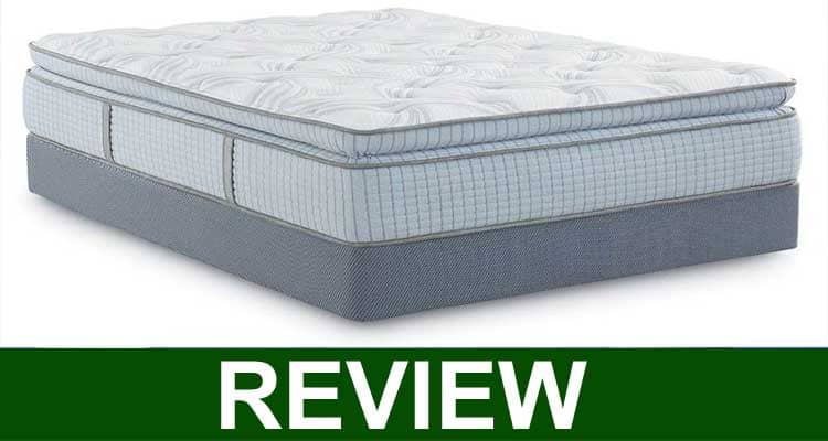 reviews on scott living hybrid mattress