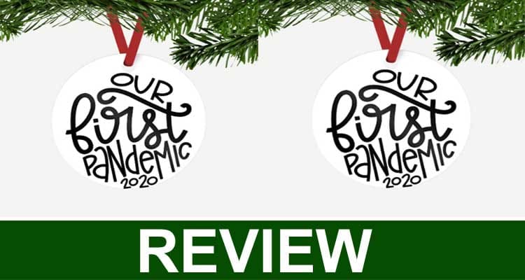 Our First Pandemic Ornament Reviews {Dec} A Safe Deal!