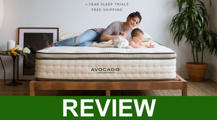advocado green mattress reviews